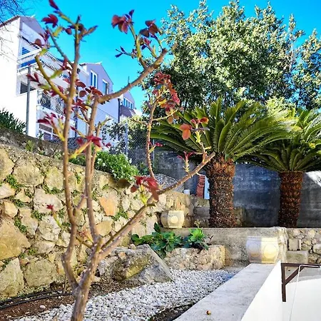 Tere Dubrovnik