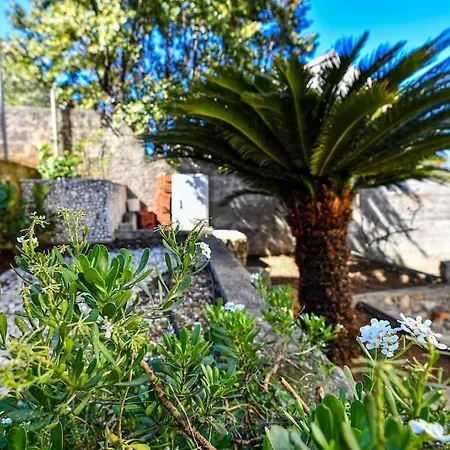 Apartament Tere *