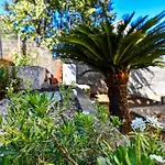 شقة Tere *